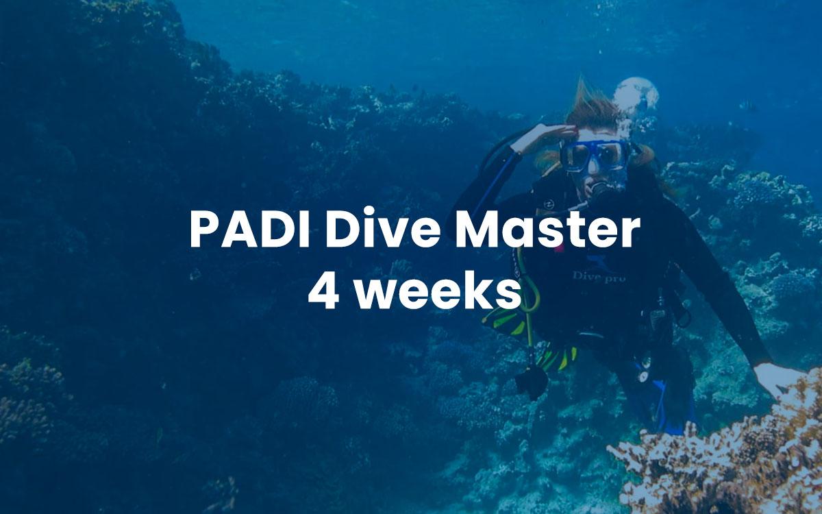 PADI Dive Master - 4 weeks