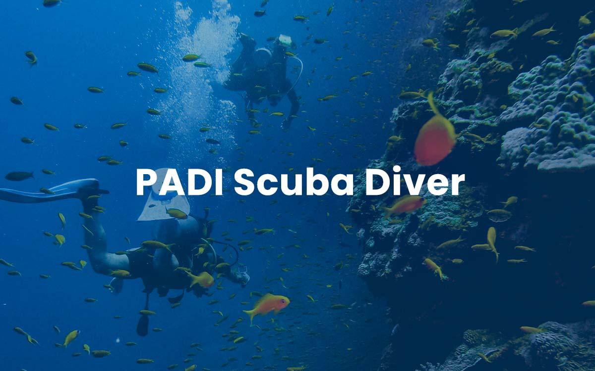 PADI Scuba Diver