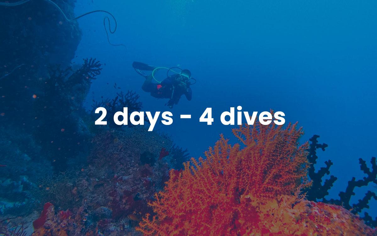 2 Days / 4 Dives