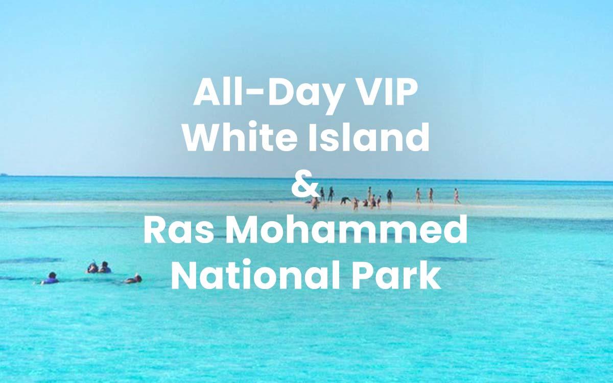 All-Day VIP White Island & Ras Mohammed National Park