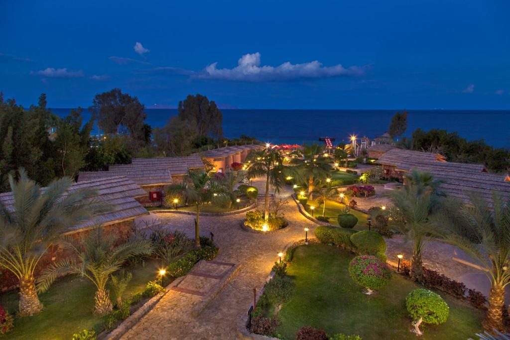 33 Days / 6 Dives + 5 Nights Stay