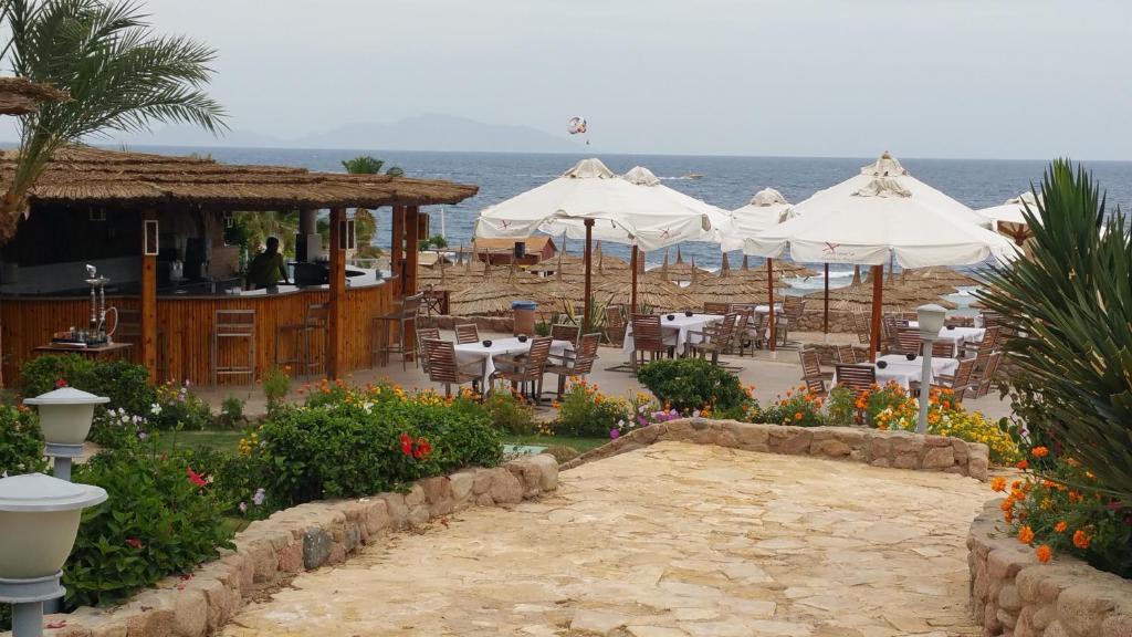 52 Days / 4 Dives + 4 Nights Stay